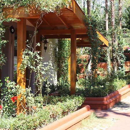 Boncuklu Otel โอลลุนเดนิซ ภายนอก รูปภาพ